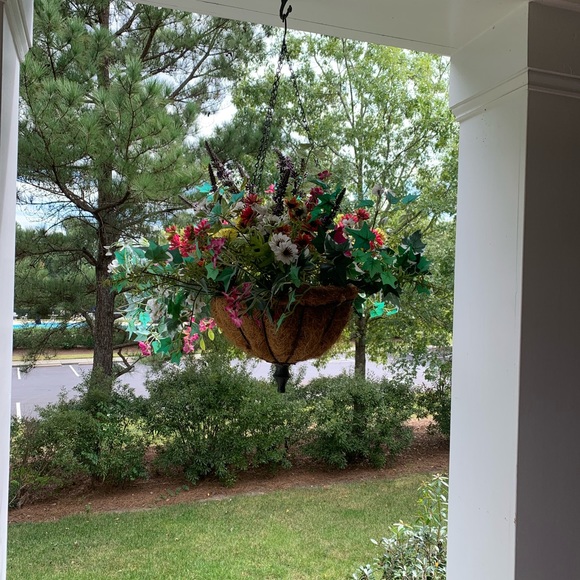 3 plants - Picture 1 of 3